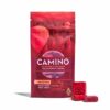 Camino Gummies Forest Berry 'Uplifting' Fruit Chews