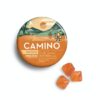 Camino Gummies Freshly Squeezed 'Recover'