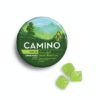 Camino Gummies Green Apple 'Focus'