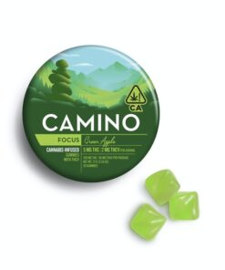 Camino Gummies Green Apple 'Focus'