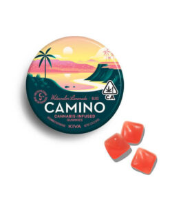 Camino Gummies Watermelon Lemonade 'Bliss'